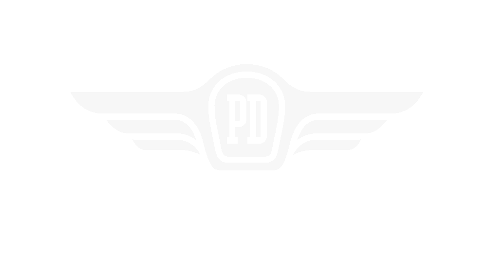 Prodrone logo
